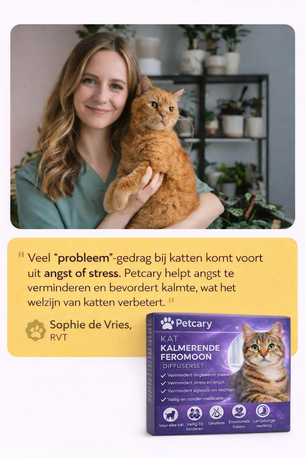 Kalmerende Diffuser voor Katten